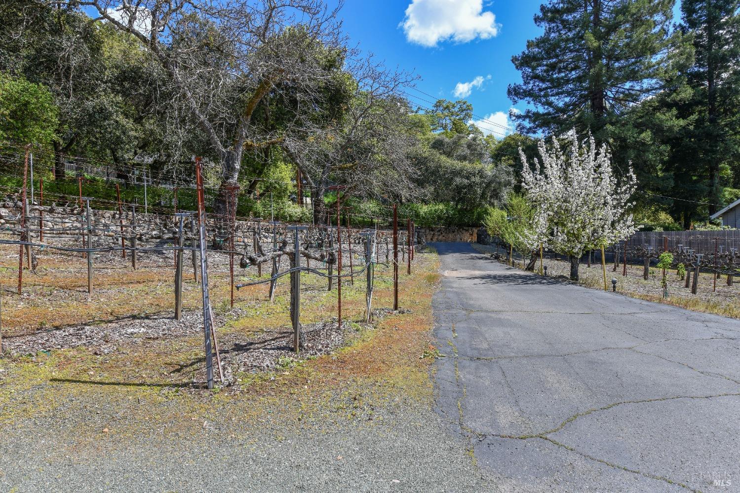 455 Glass Mountain Road St. Helena CA 94574