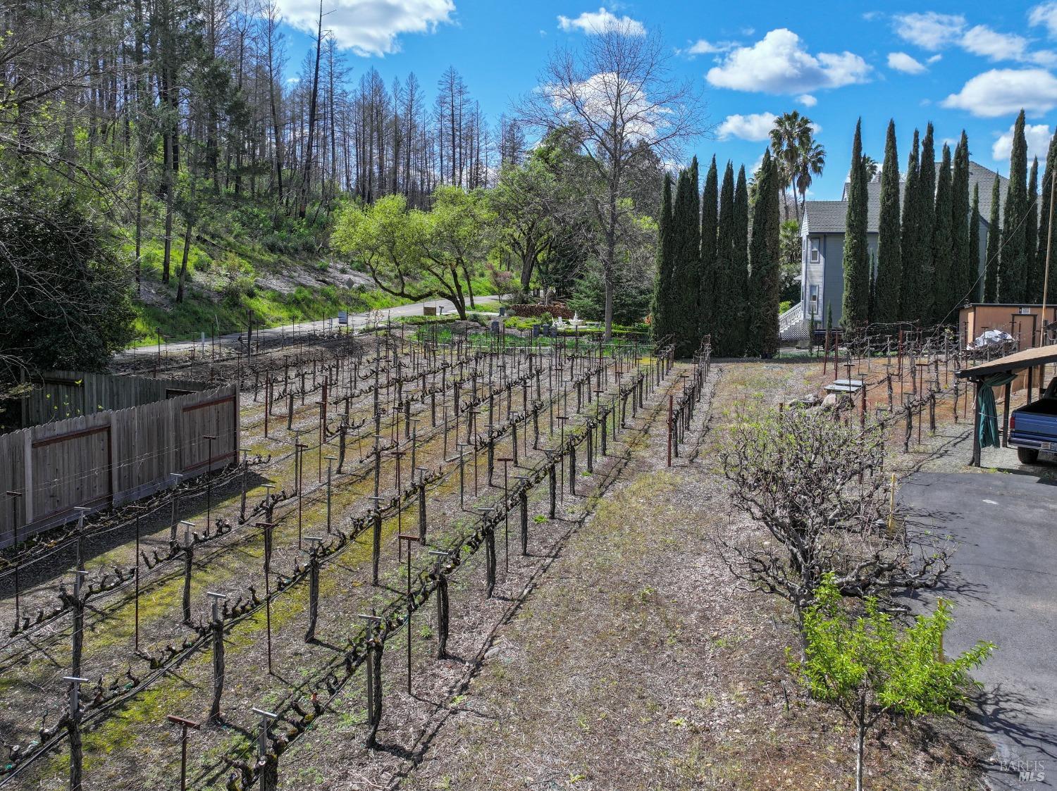 455 Glass Mountain Road St. Helena CA 94574