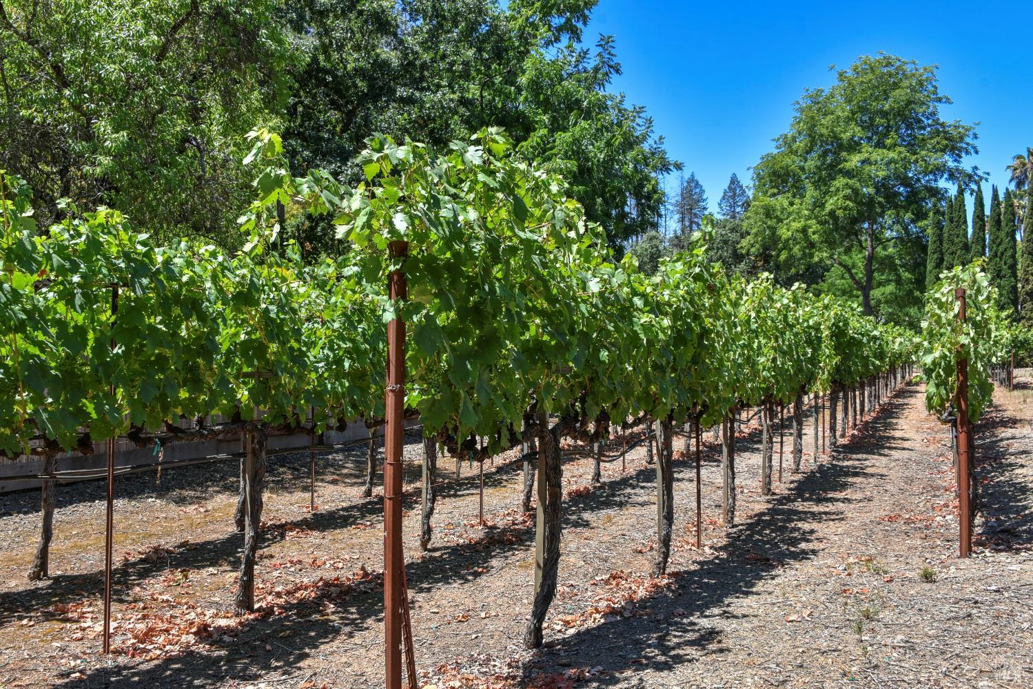 455 Glass Mountain Road St. Helena CA 94574