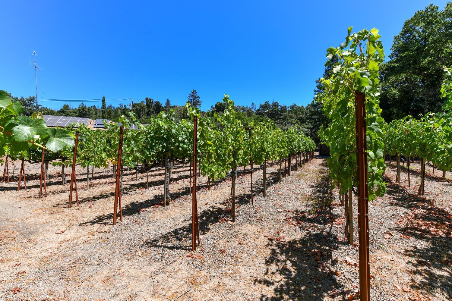 455 Glass Mountain Road St. Helena CA 94574