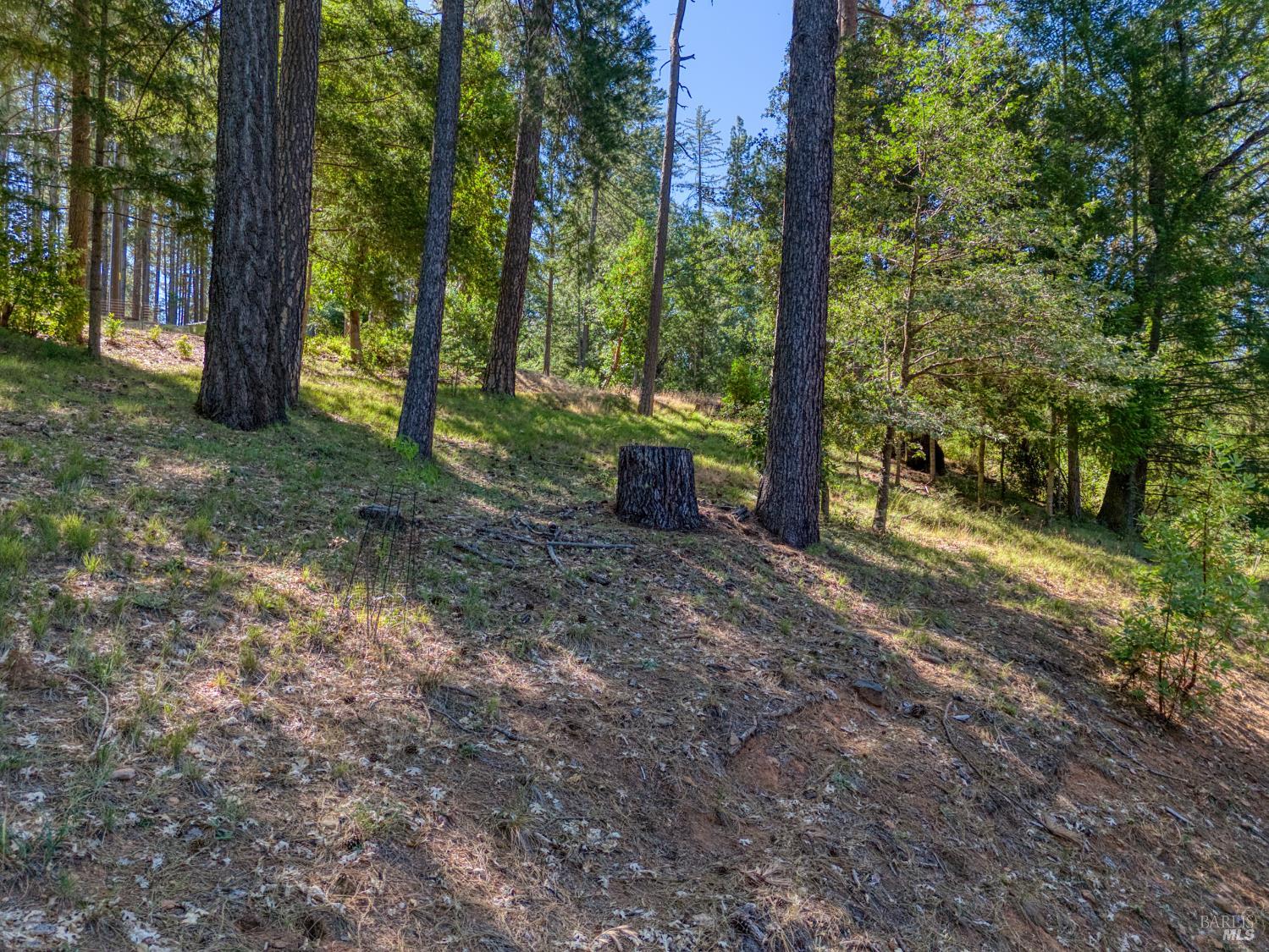 15800 Rainbow Drive Cobb CA 95426
