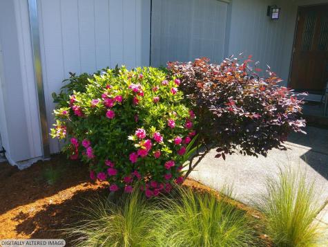 445 Crestridge Place Santa Rosa CA 95409