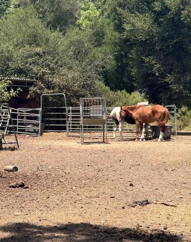 12847 Dunbar Road Glen Ellen CA 95442