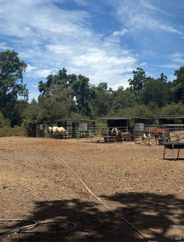 12847 Dunbar Road Glen Ellen CA 95442
