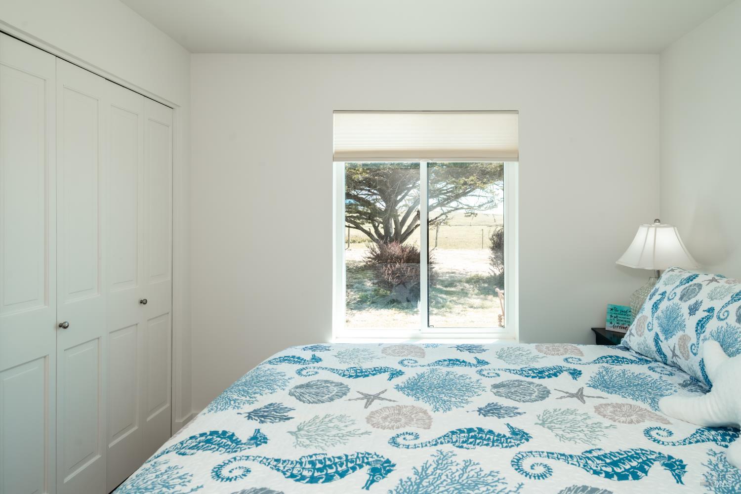 476 Oceana Drive Dillon Beach CA 94929