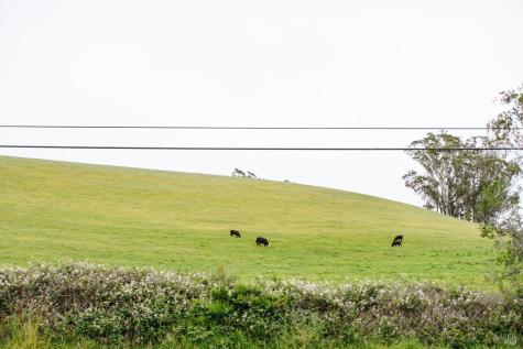27325 Highway 1 Tomales CA 94971