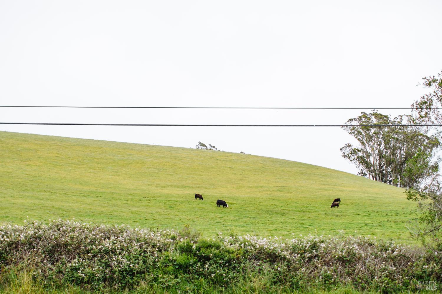 27325 Highway 1 Tomales CA 94971