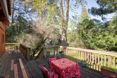 140 Buena Vista Avenue Point Reyes Station CA 94956