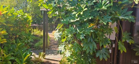 523 Center Street Healdsburg CA 95448