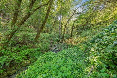 1311 W Dry Creek Road Healdsburg CA 95448