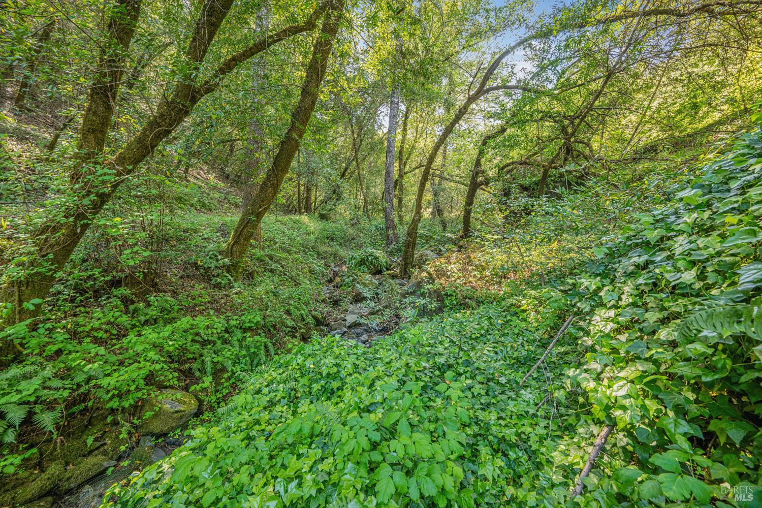 1311 W Dry Creek Road Healdsburg CA 95448