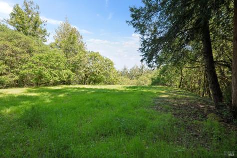 1311 W Dry Creek Road Healdsburg CA 95448