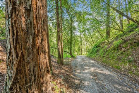 1311 W Dry Creek Road Healdsburg CA 95448
