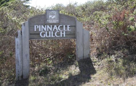 20690 Mockingbird Road Bodega Bay CA 94923