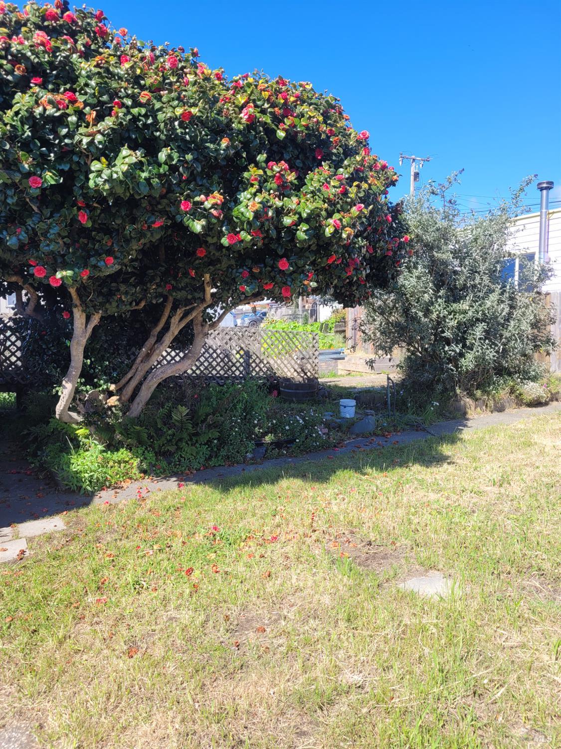 260 S Franklin Street Fort Bragg CA 95437