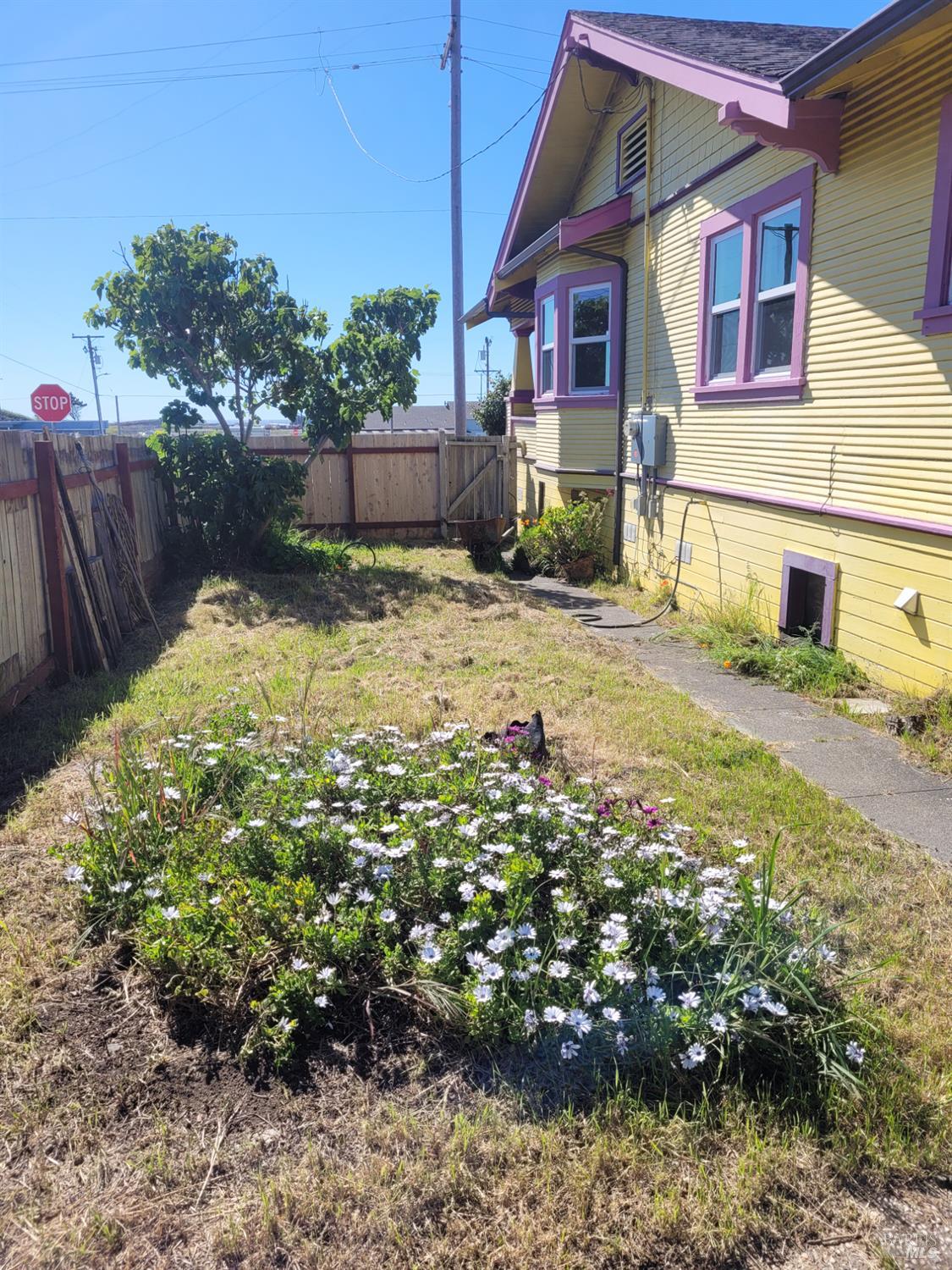 260 S Franklin Street Fort Bragg CA 95437