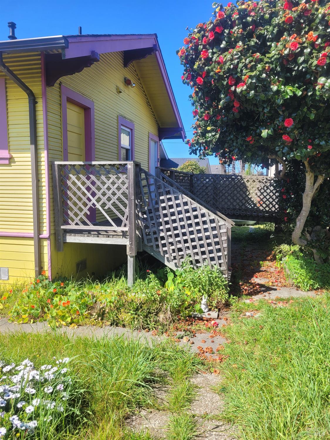 260 S Franklin Street Fort Bragg CA 95437