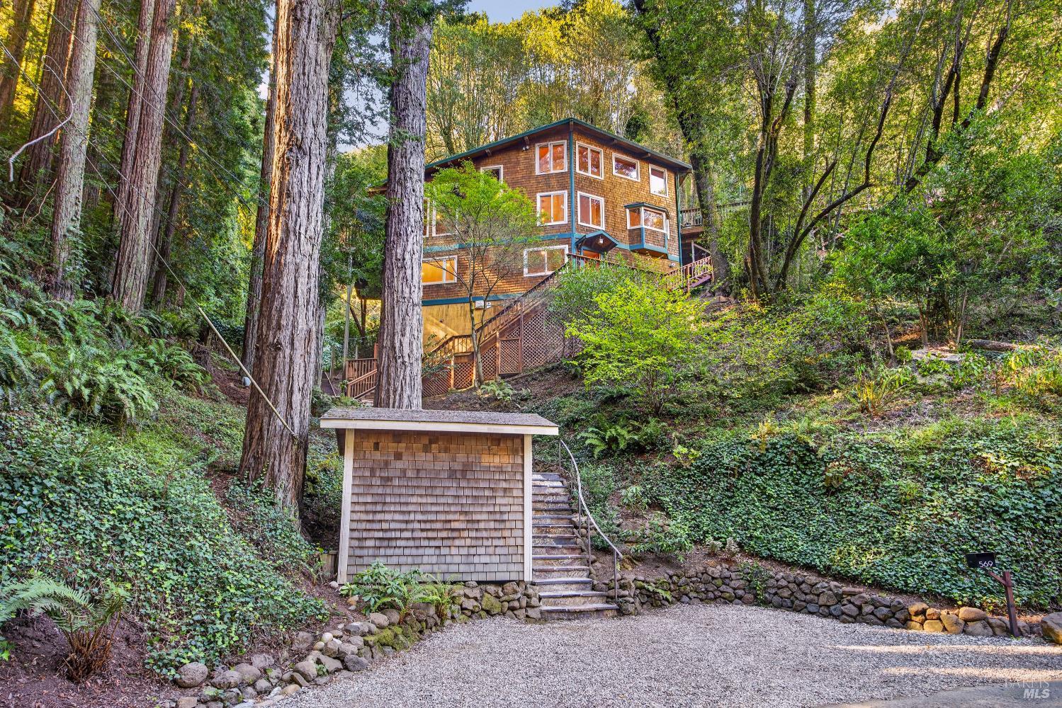 569 Edgewood Avenue Mill Valley CA 94941