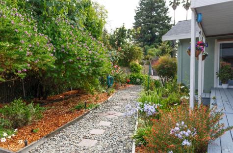 6064 Dolores Drive Rohnert Park CA 94928