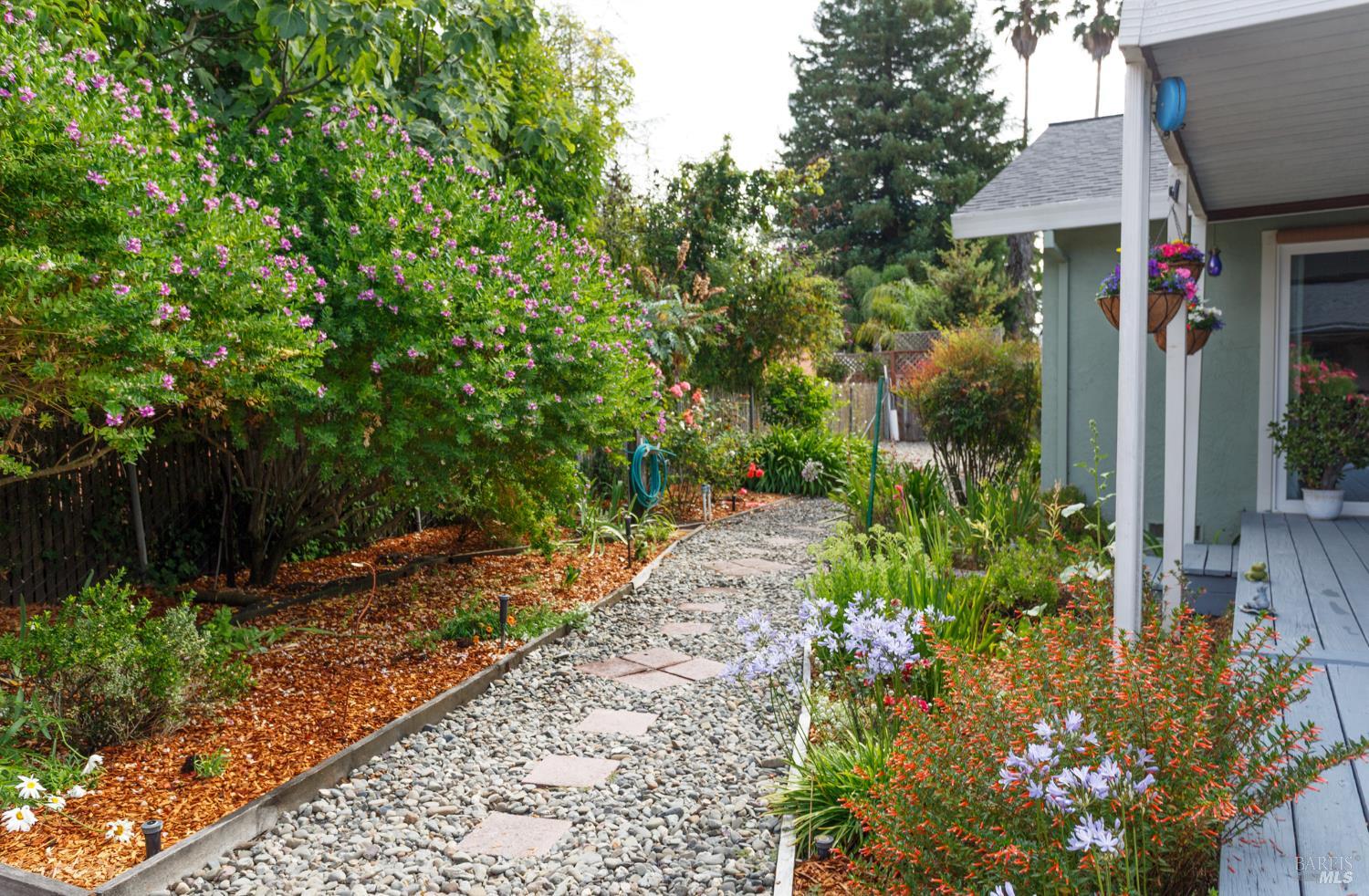 6064 Dolores Drive Rohnert Park CA 94928