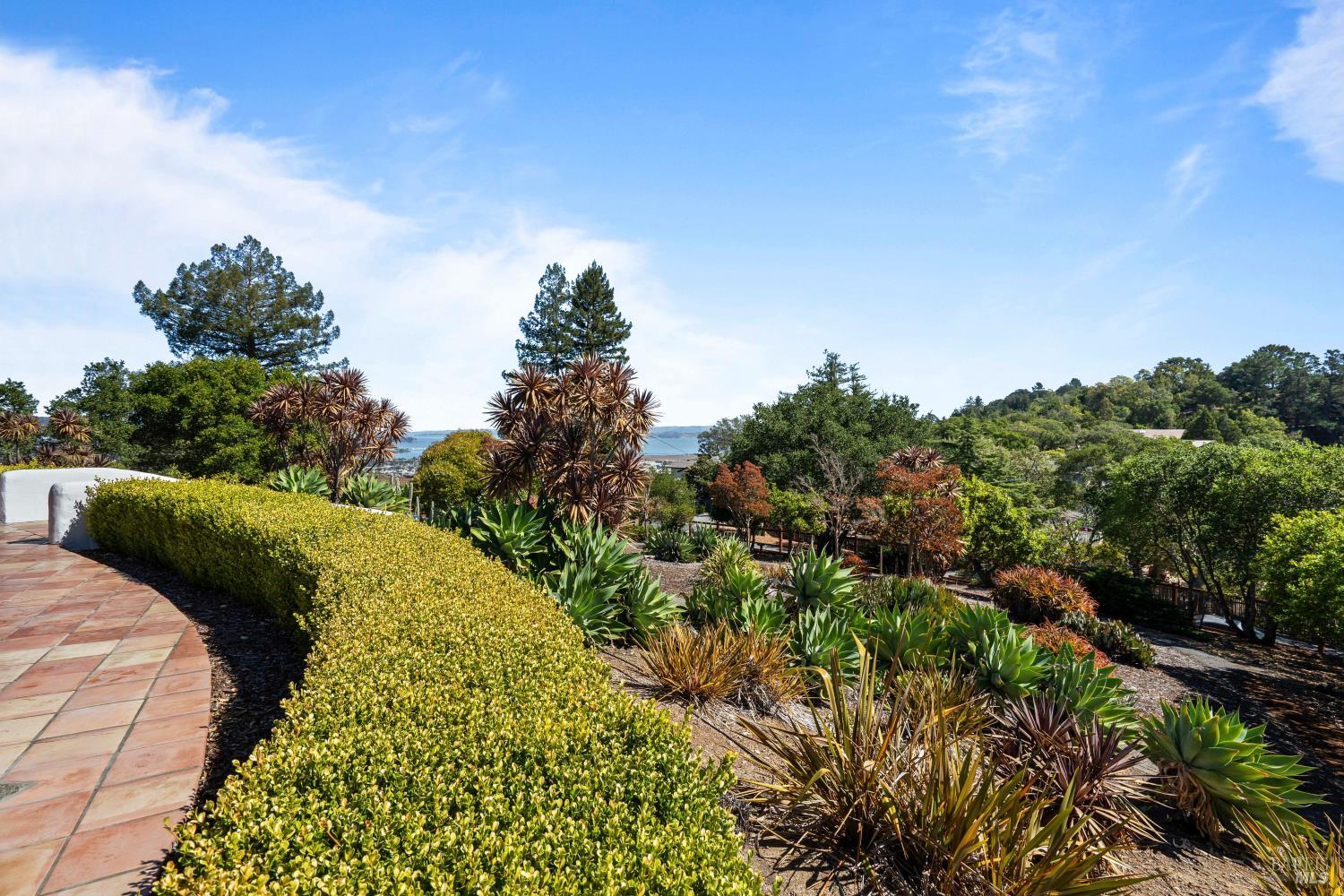 205 Bret Harte Road San Rafael CA 94901