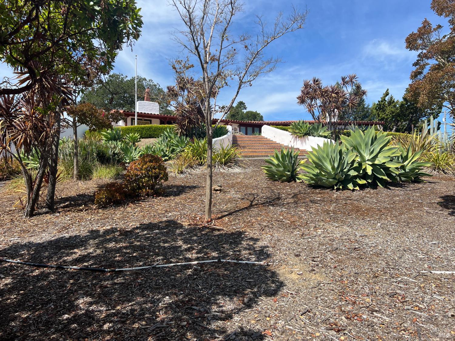 205 Bret Harte Road San Rafael CA 94901