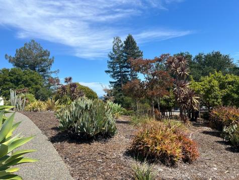 205 Bret Harte Road San Rafael CA 94901
