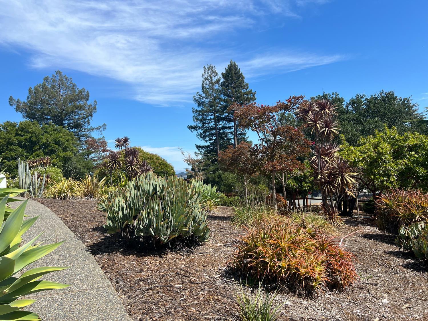 205 Bret Harte Road San Rafael CA 94901