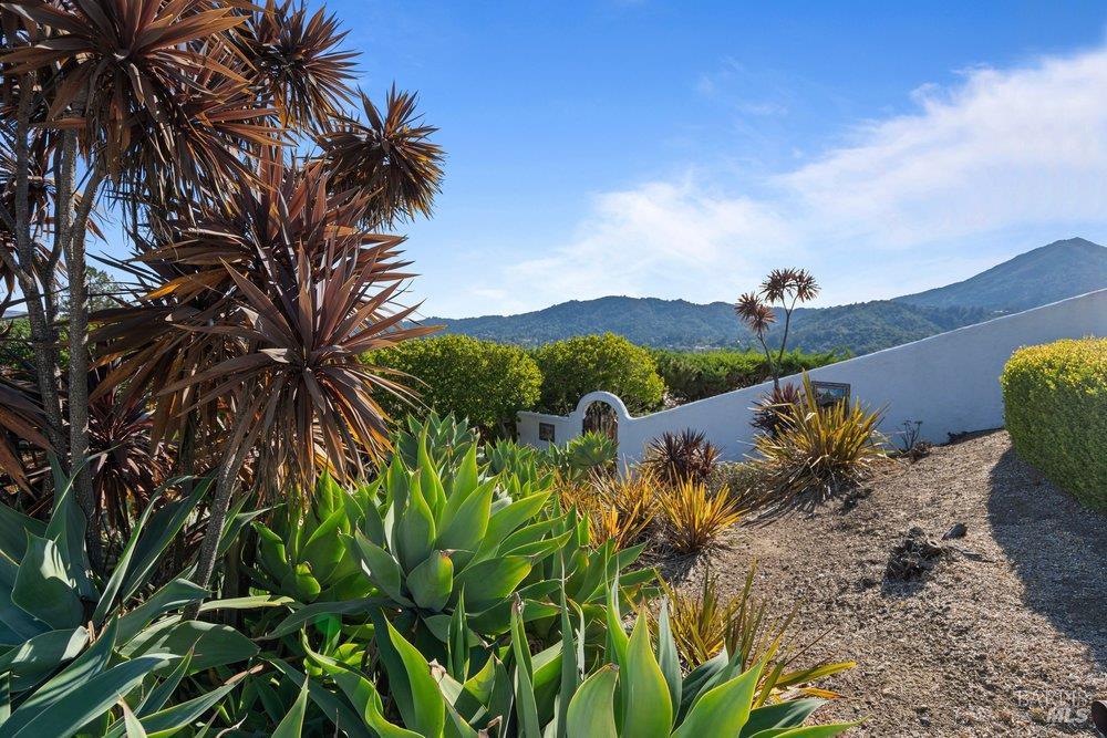 205 Bret Harte Road San Rafael CA 94901