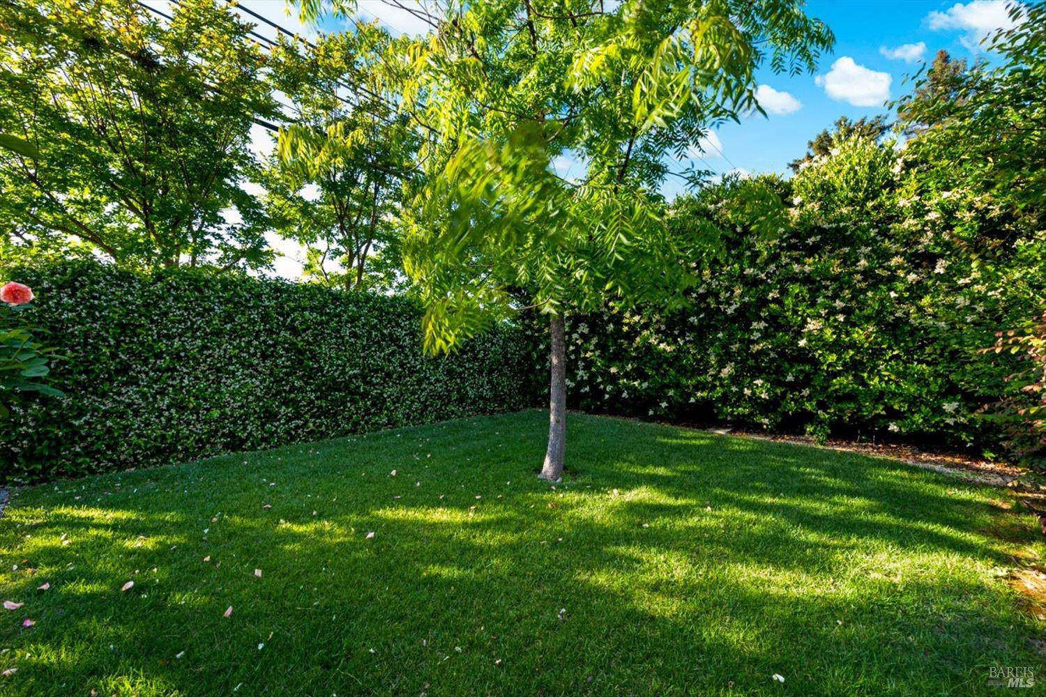 977 Pratt Avenue St. Helena CA 94574