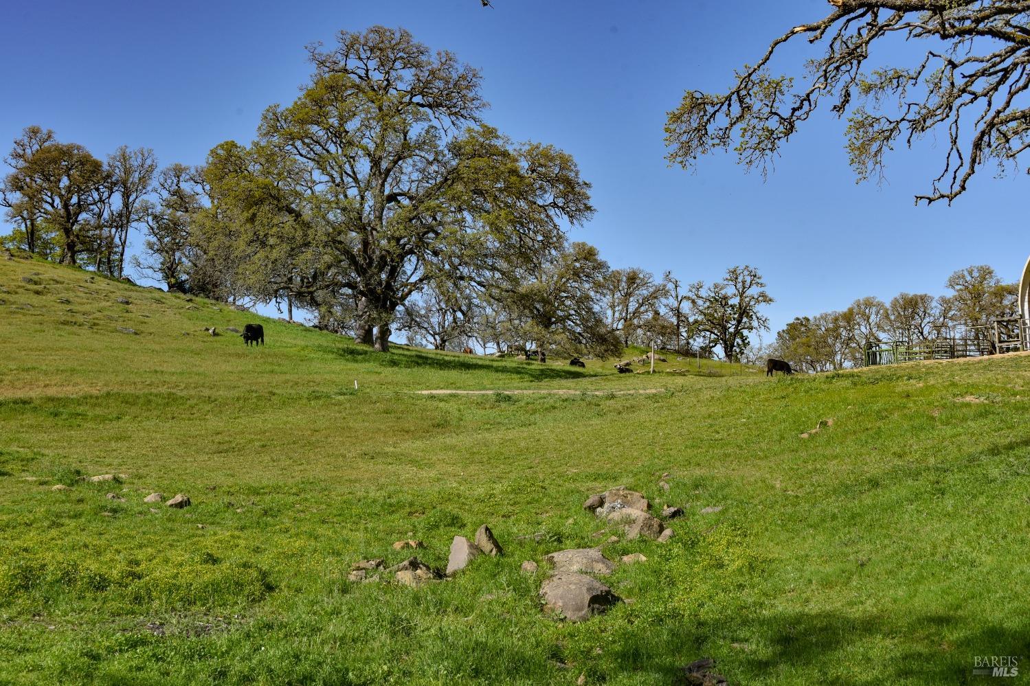 100 Longhorn Ridge Road Napa CA 94558