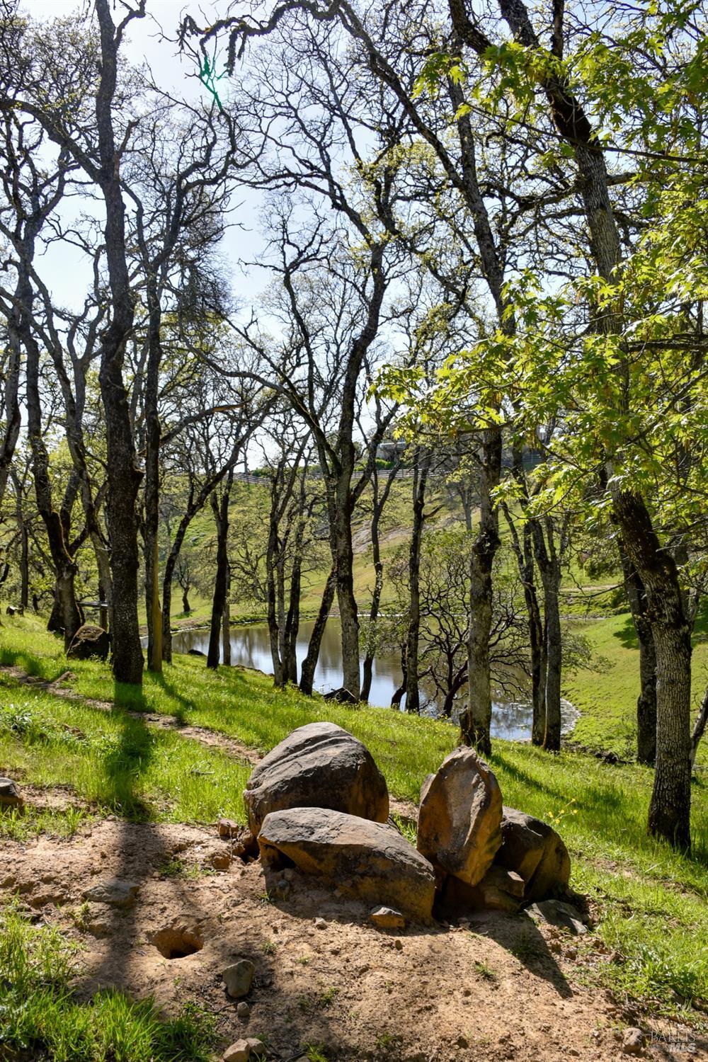 100 Longhorn Ridge Road Napa CA 94558