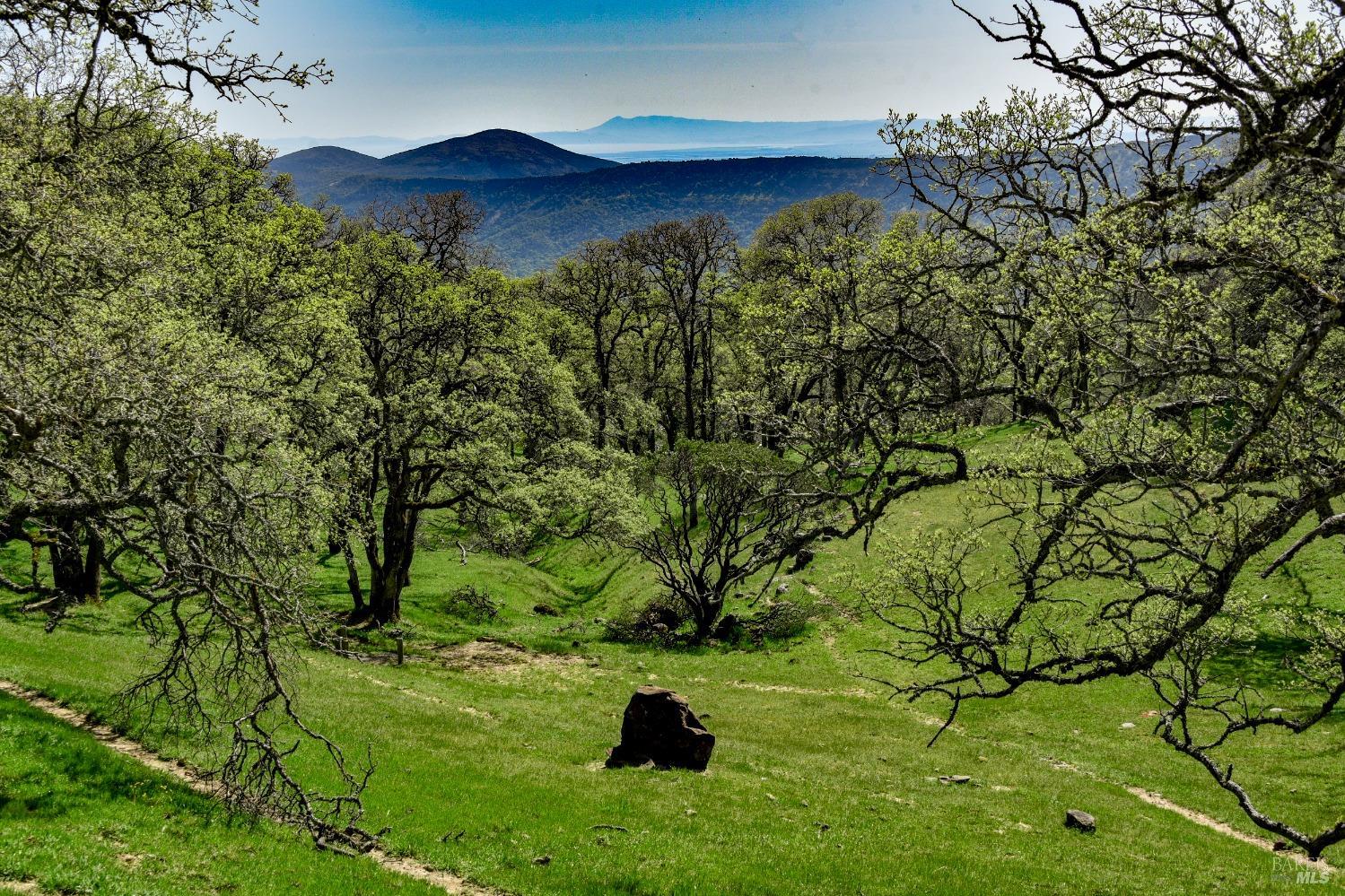 100 Longhorn Ridge Road Napa CA 94558