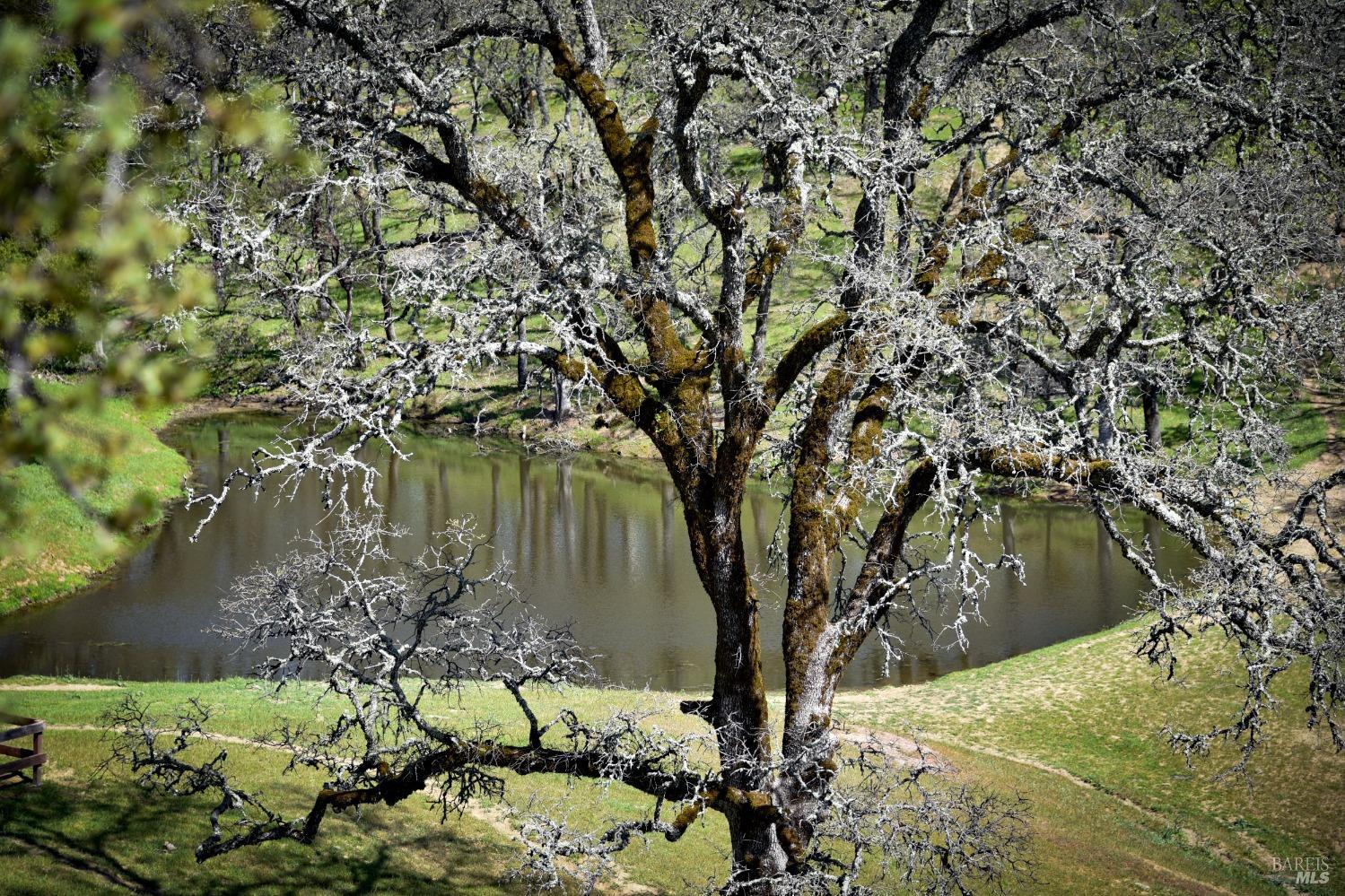 100 Longhorn Ridge Road Napa CA 94558