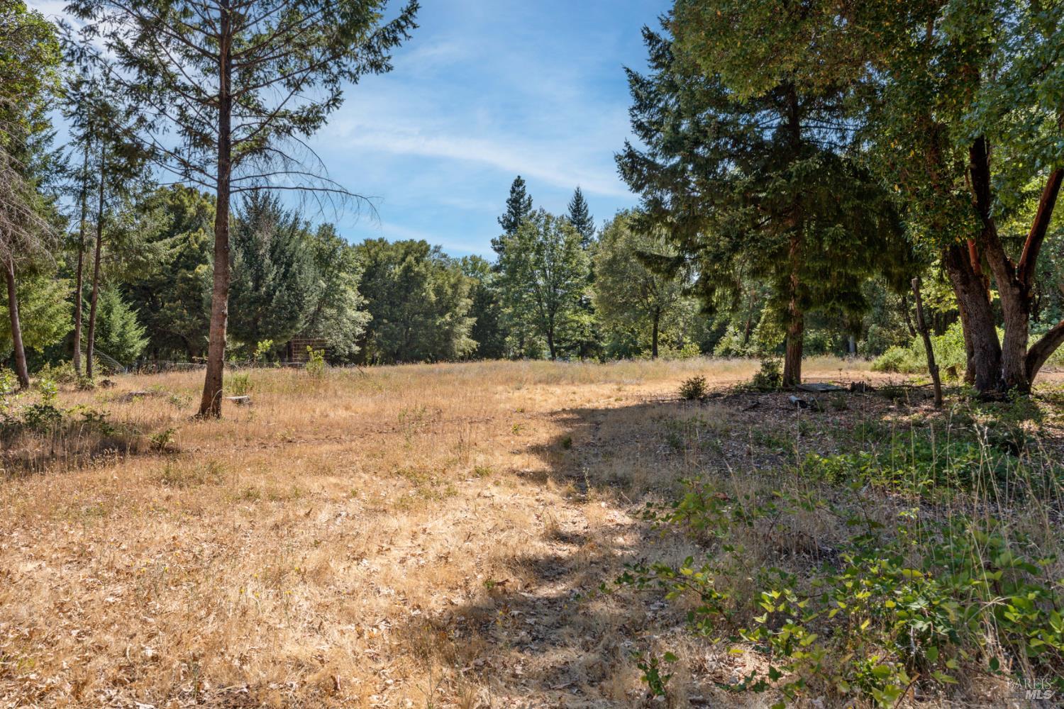 78611 Mina Road Covelo CA 95428