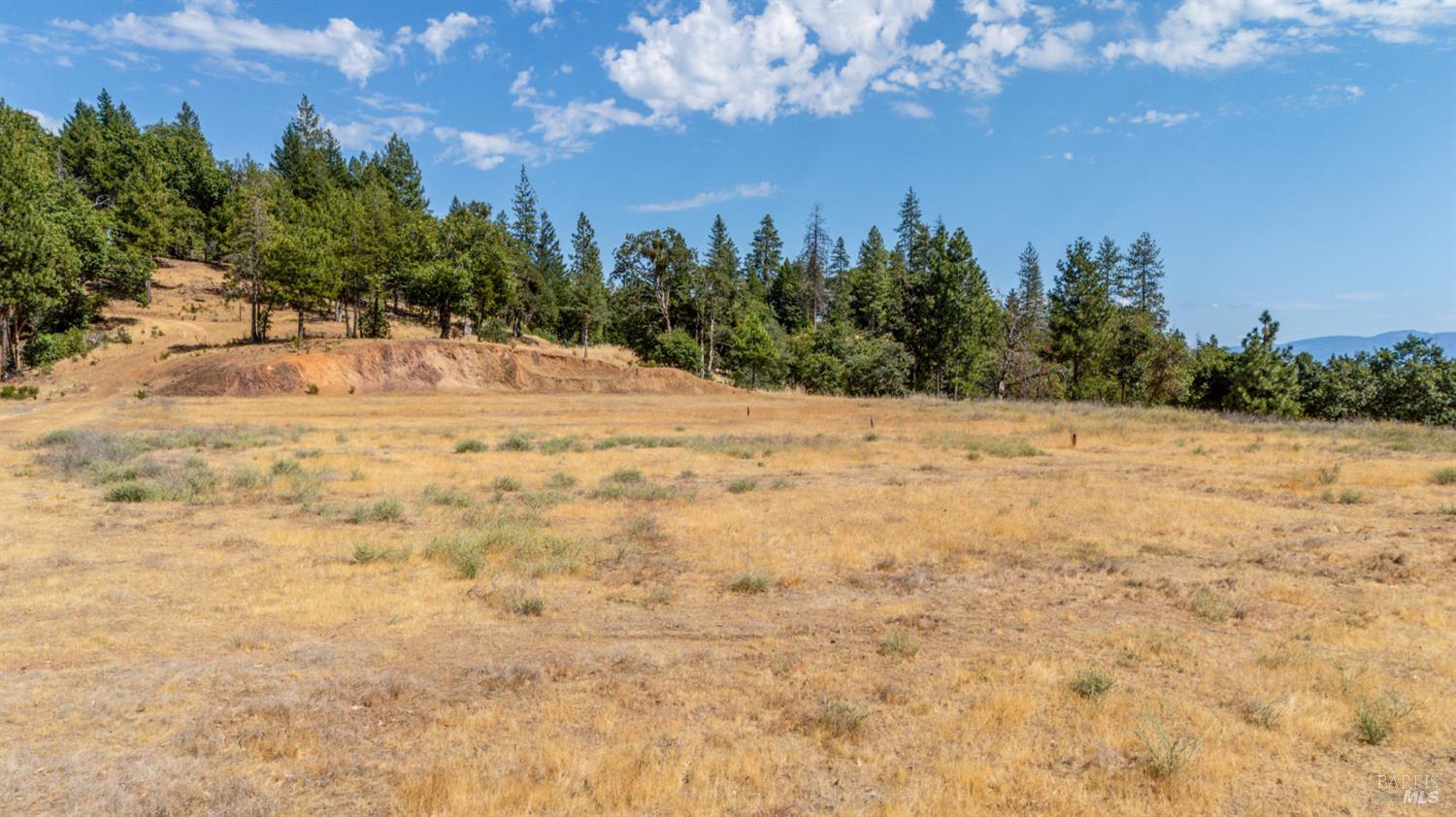 78611 Mina Road Covelo CA 95428