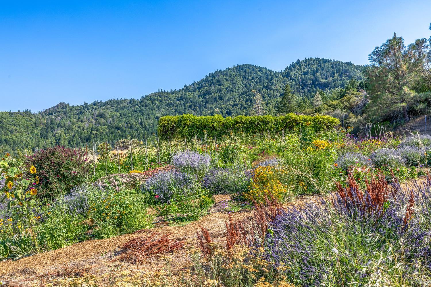 14507 Western Mine Road Middletown CA 95461