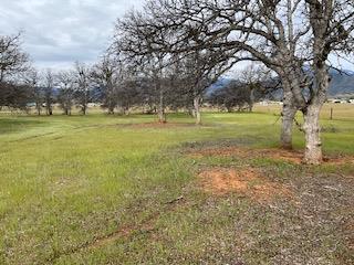 5035 E Park Road Stonyford CA 95979