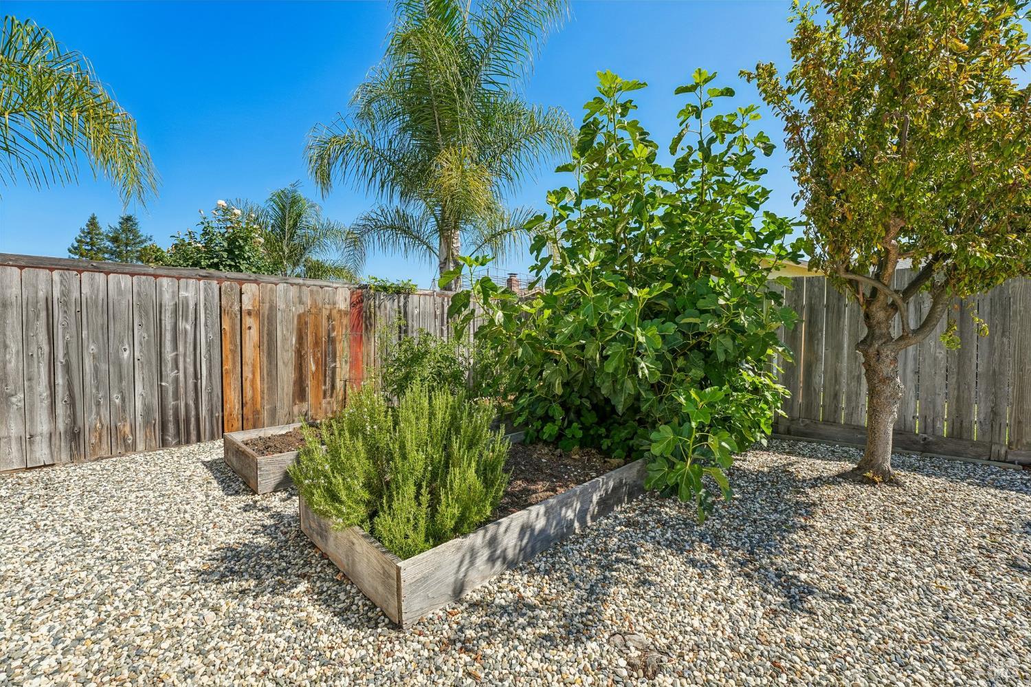 5346 Daniel Drive Rohnert Park CA 94928