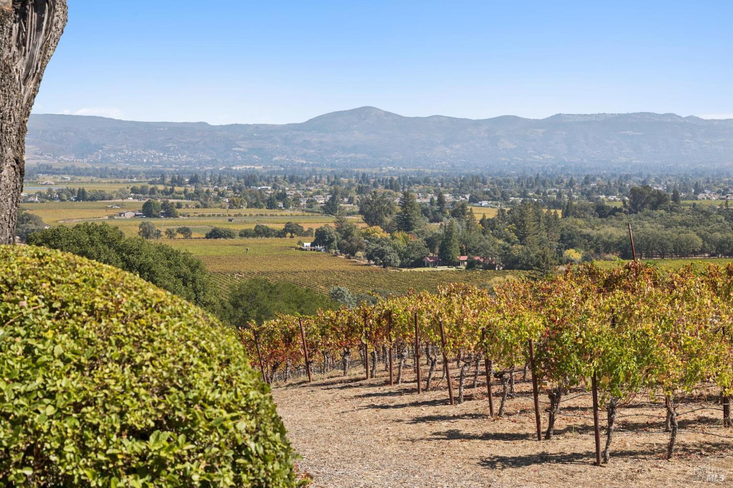 4133 Dry Creek Road Napa CA 94558