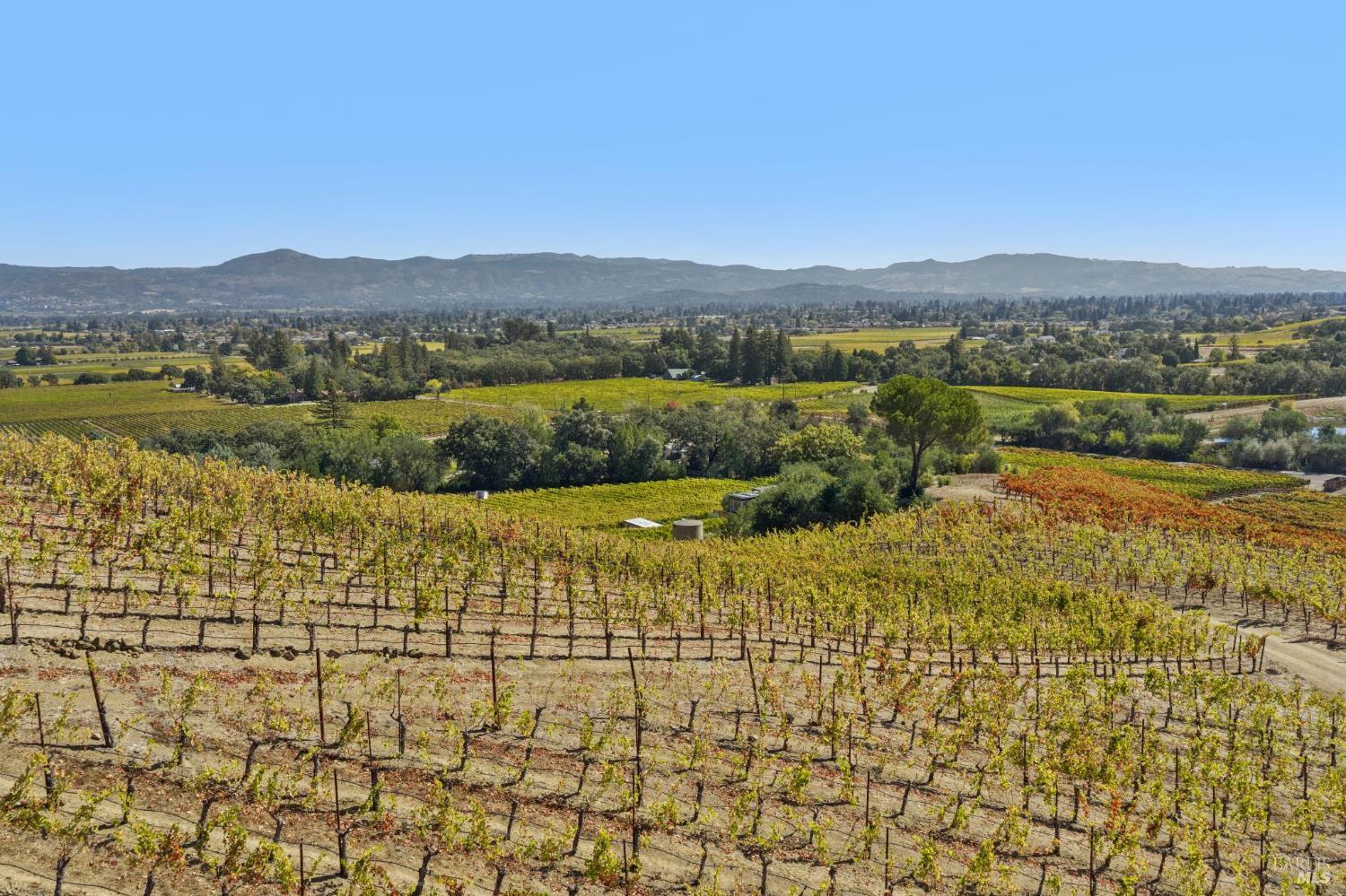 4133 Dry Creek Road Napa CA 94558