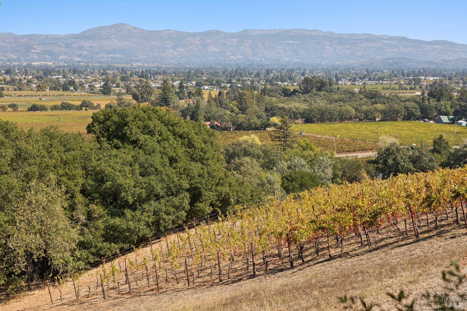 4133 Dry Creek Road Napa CA 94558