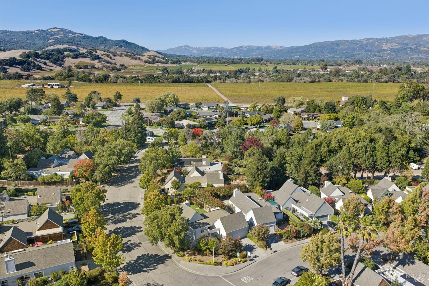 823 Crocus Drive Sonoma CA 95476