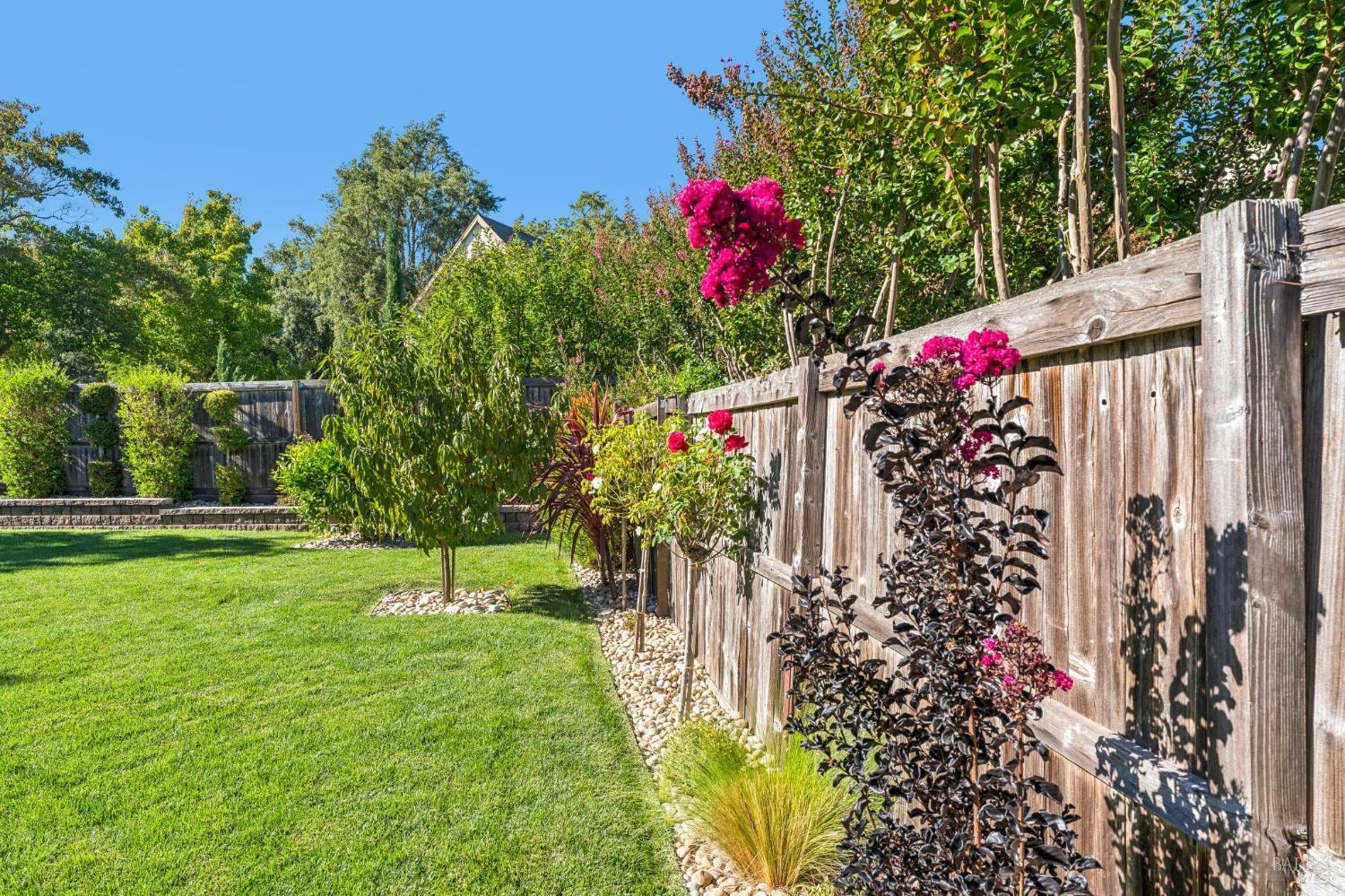 823 Crocus Drive Sonoma CA 95476