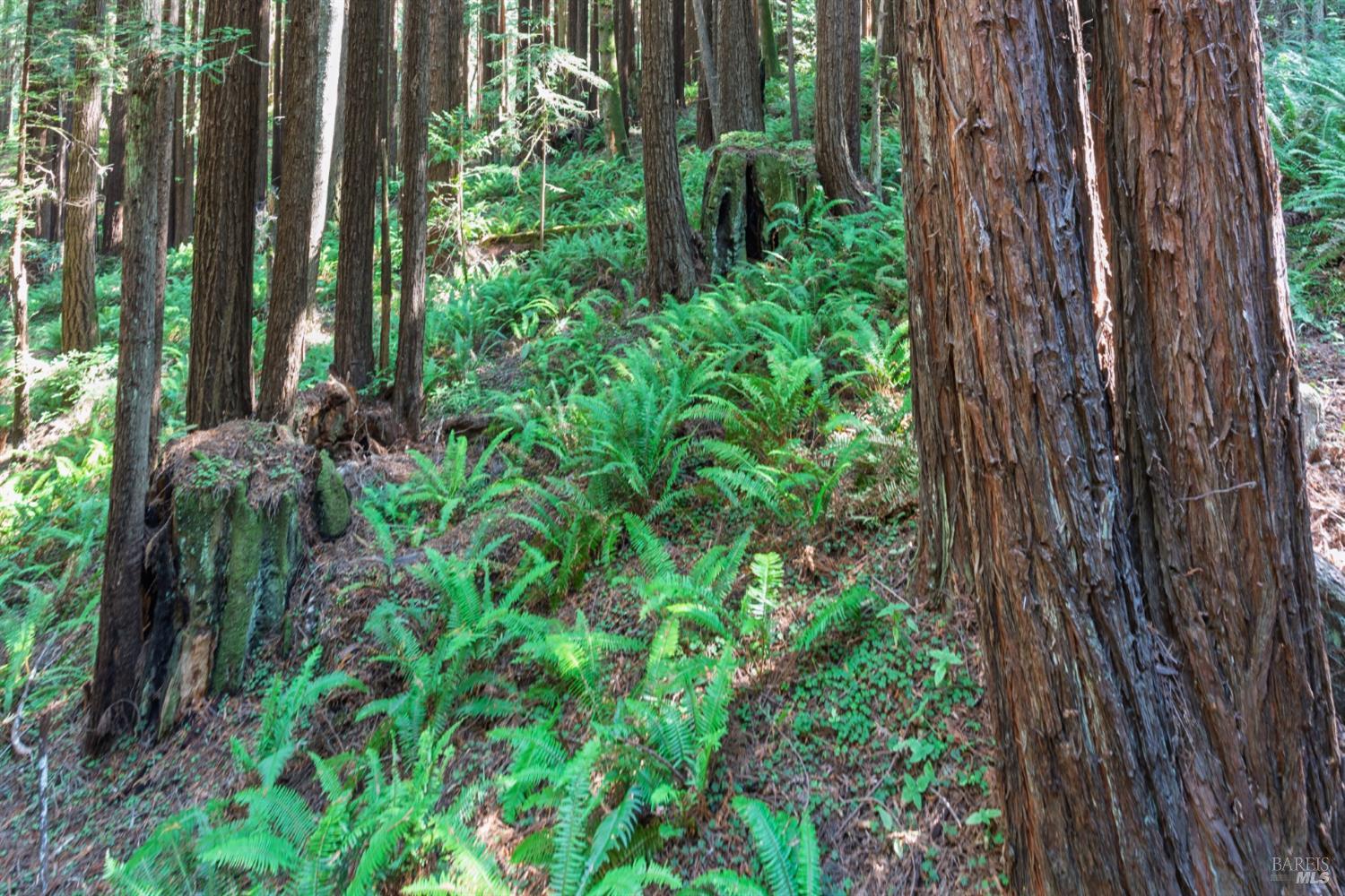 1101 River Beach Road The Sea Ranch CA 95497