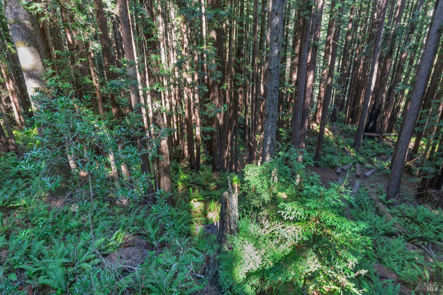 1101 River Beach Road The Sea Ranch CA 95497