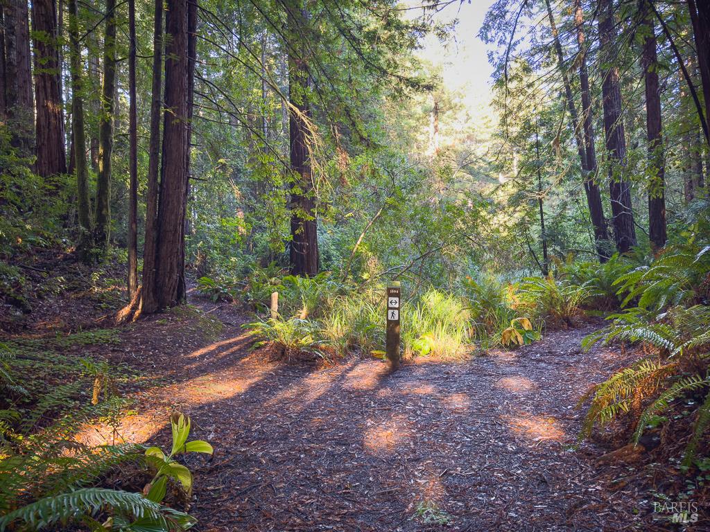 1101 River Beach Road The Sea Ranch CA 95497
