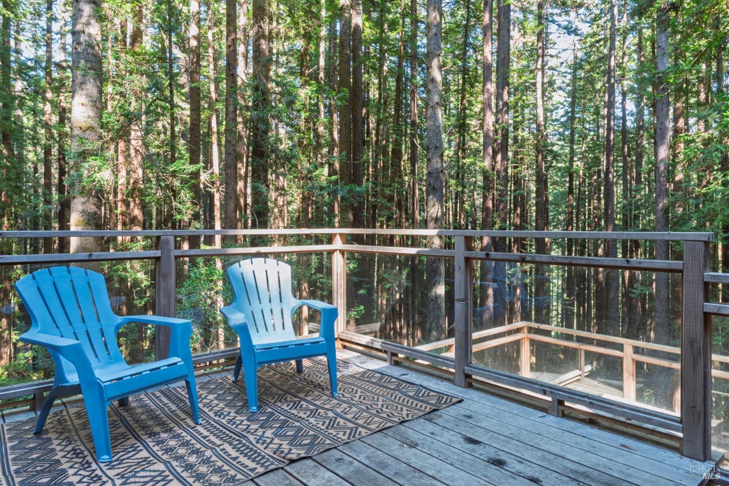 1101 River Beach Road The Sea Ranch CA 95497