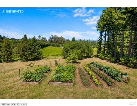 6096 Vine Hill School Road Sebastopol CA 95472