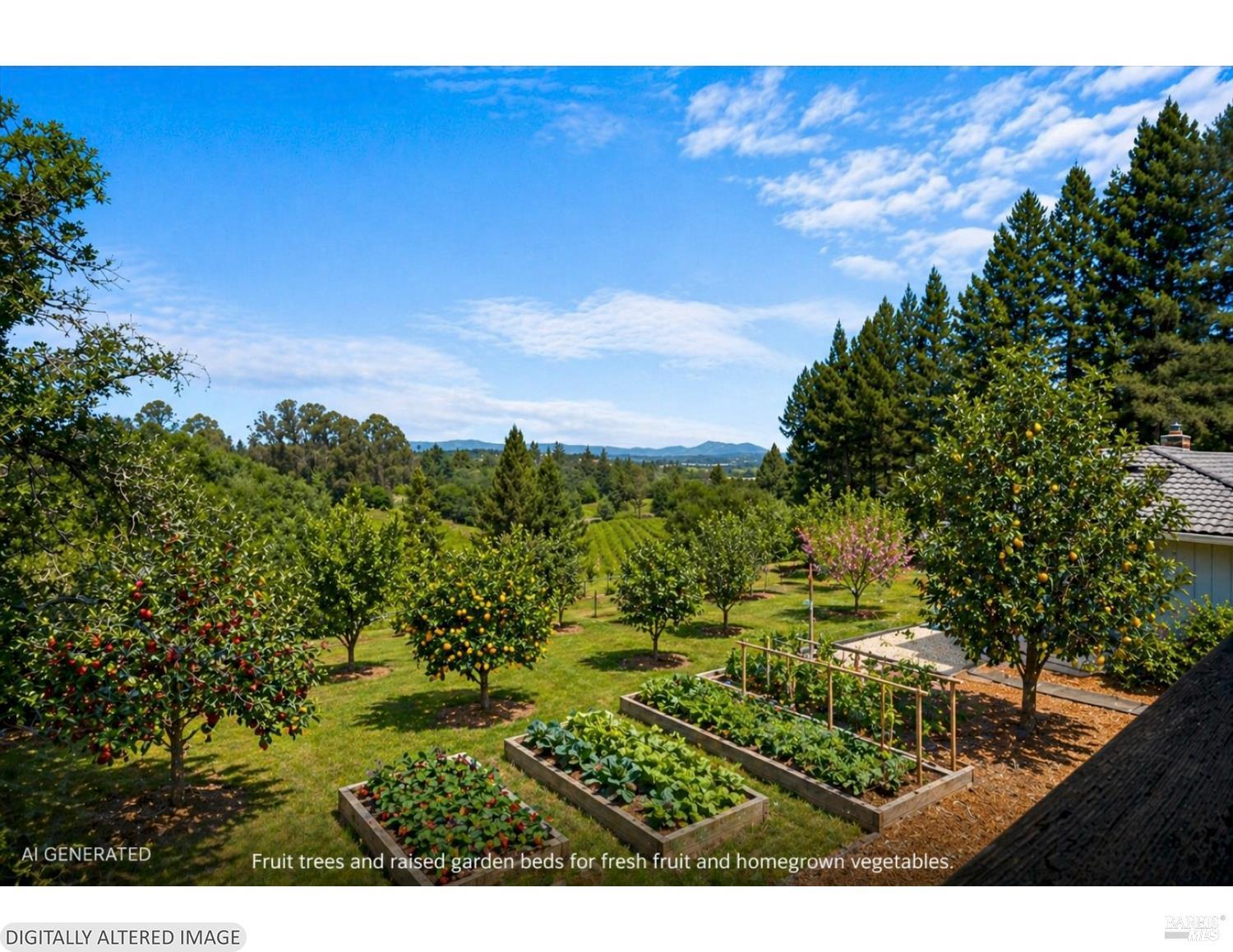 6096 Vine Hill School Road Sebastopol CA 95472